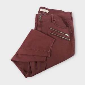 Womens Torrid Plus Size Maroon Jeans size 24R